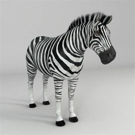 Zebra 2 3d Models