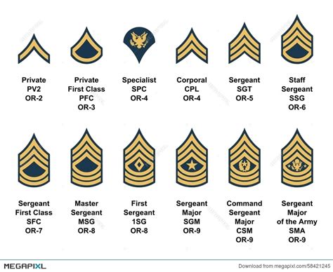 Highest Enlisted Rank Army Whyat