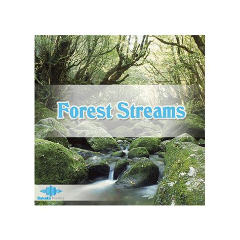 Forest Streams Epic Stock Media
