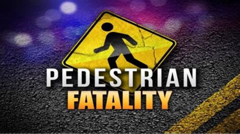 Pedestrian Killed On Us1 Near Pmc Early Sunday Morning