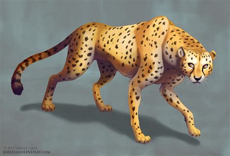 Cheetah By Lcibos On Deviantart