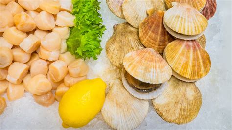 The Ultimate Guide To Different Scallop Varieties