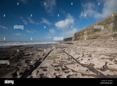 Wave Cut Platform Southerndown Wales Hi Res Stock Photography And