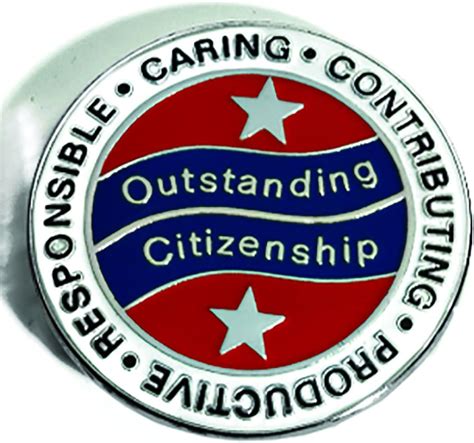 Outstanding Citizenship Recognition And Motivational Award Lapel Pins 12 Pins Uk
