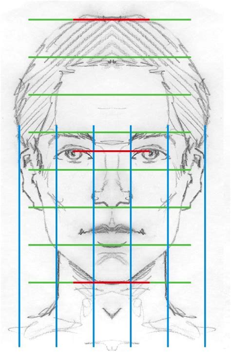 Proportions Drawings Face Proportions Facial Proportions