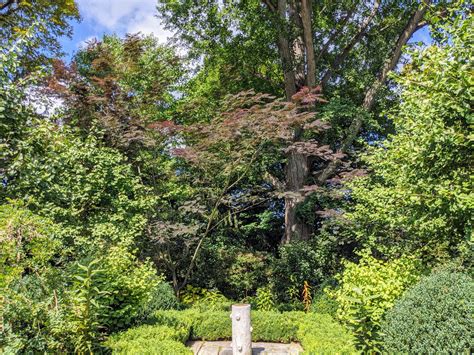 Lush Trees Around the Farm - The Martha Stewart Blog