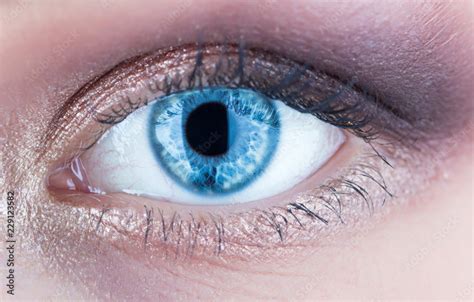 Foto De Macro Of Human Eye Closeup Of Blue Human Eye Human Eyes Close