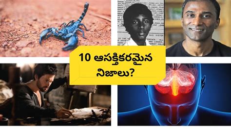 top 10 interesting facts in telugu unknown and amazing facts episode 1 facts godavari youtube