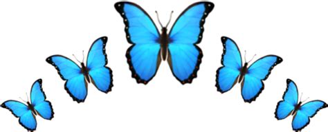 Butterfly Crown Png 20 Free Cliparts Download Images On Clipground 2024