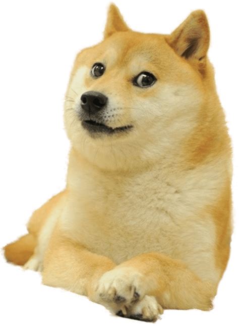 Doge Png Picture Png All Png All