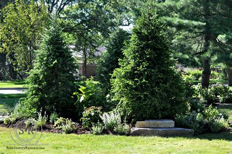 Serendipity Refined Blog How To Landscape A Corner Lot