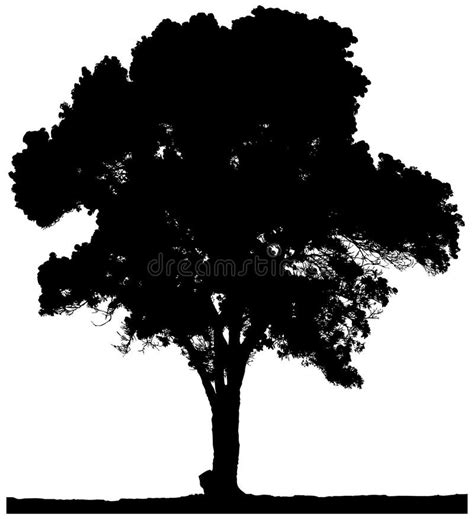 Black And White Vector Autumn Tree Silhouette Stock Illustration