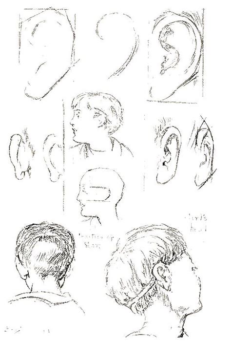 How to draw manga hair. How to Draw Heads, Faces, Hair, and Facial Features ...