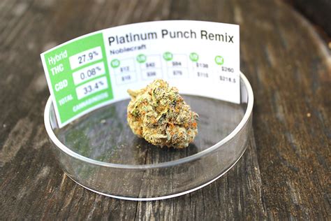 Platinum Punch Remix By Noblecraft Cannabis Urban Farmacy
