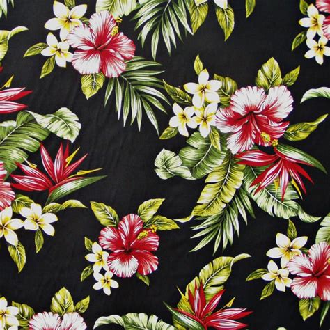 48 Tropical Flower Wallpaper Wallpapersafari