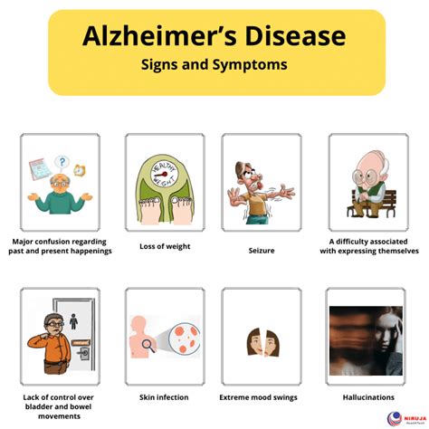 Alzheimers Disease Infographic Signs And Symptoms