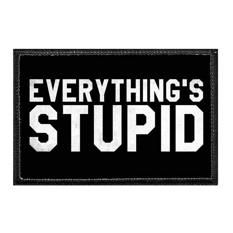 Everythings Stupid Removable Patch Patches Pvc Patches Morale Patch