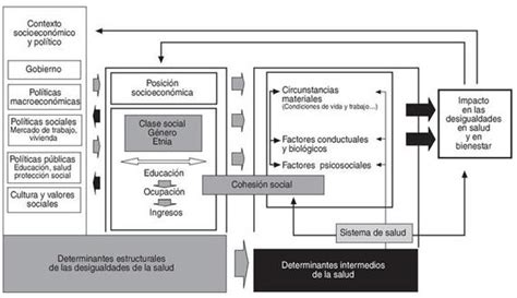 Marco Conceptual De Los Determinantes Sociales De La Salud Download Scientific Diagram