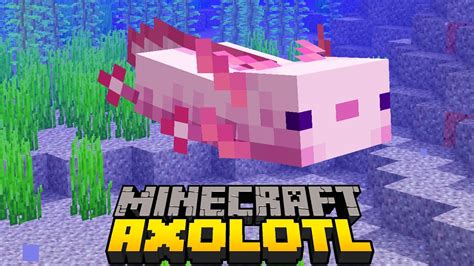 Minecraft 117 Axolotls New Mob Caves And Cliff Update Filipino