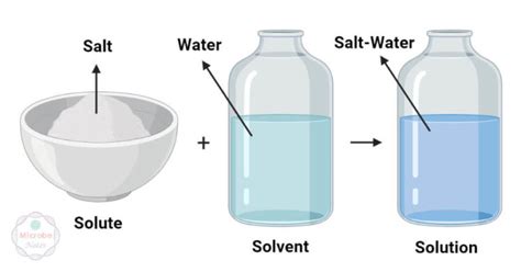 Solute Vs Solvent Definition 9 Major Differences Examples