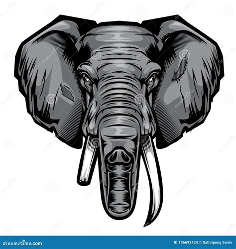 Elephants Face Stock Illustrations 421 Elephants Face Stock