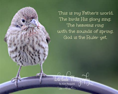 We did not find results for: Sparrow Bible Quotes. QuotesGram