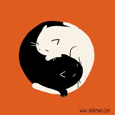 Cat Yin Yang By Bobsmade On Deviantart