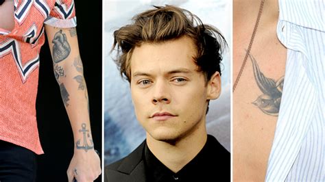 Styles' new tattoo is a drawing of a huge butterfly, inked onto his torso right below his chest. Harry Styles Tattoo Guide List: What Do The One Direction ...