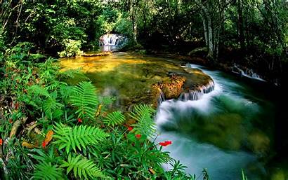 Rainforest Tropical Jungle Nature Desktop Waterfall Cascade