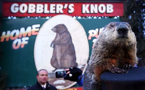 Groundhog Day Movie Facts You Didnt Know