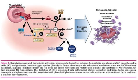 Hemolysis Associated Hypercoagulability In Sickle Cell Disease The