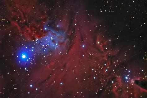 Ngc 2264 The Christmas Tree Cluster Fox Fur Nebula And Cone Nebula