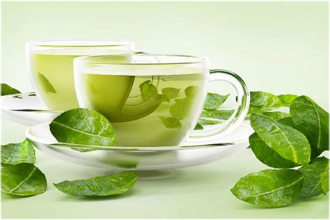 This is because it is made from. Explore the world of green tea to enjoy its taste and ...