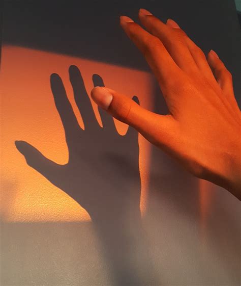 Golden Hour Hand Pictureshadow Aesthetic Sunkissed Orange