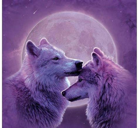 Wolf Love Wallpapers Wallpaper Cave