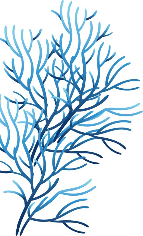 Coral Clipart Seaweed Coral Seaweed Transparent Free For