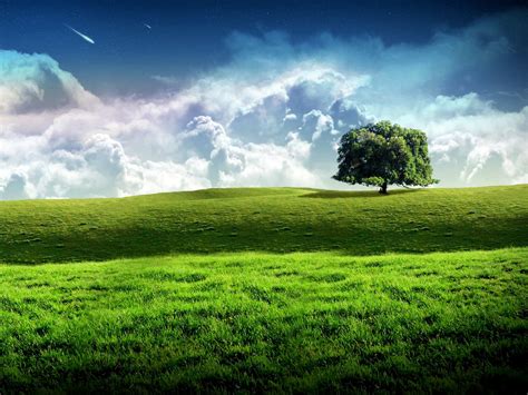 New Bliss Tree Green Landscape Scenery Wallpaper Free Images At Clker