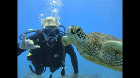 Hawaii Dive Training Padi Diving Lessons Youtube