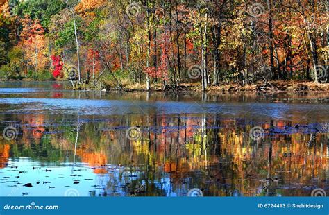 Colorful Tree Reflections Stock Image Image Of Pond Coast 6724413