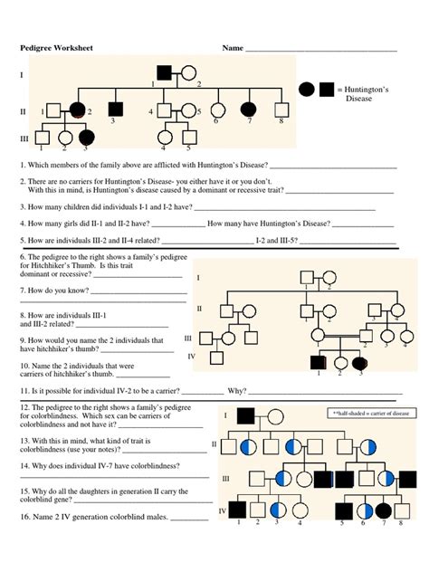 Pedigree Chart Worksheet Pdf Zygosity Dominance Genetics