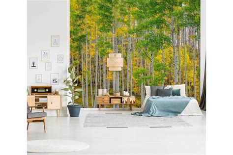 3d Autumn Forest 1436 Marco Carmassi Wall Mural Wall