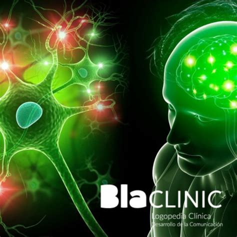 Neuronas Espejo ¿para Qué Sirven Blaclinic