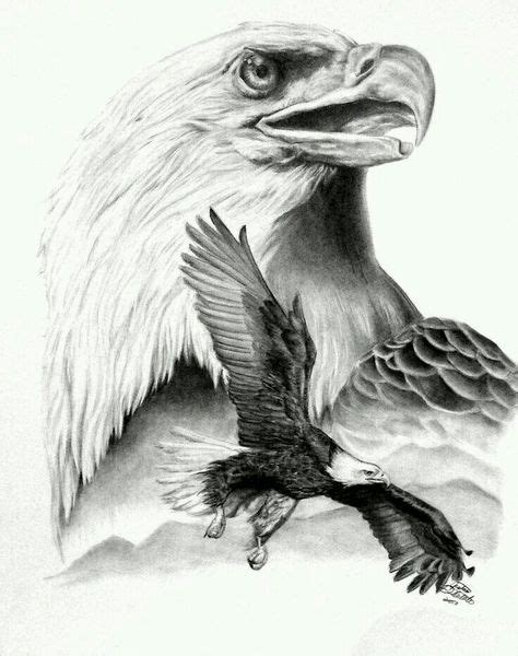 18 Adler Tattoo Ideen Tiertattoos Adler Zeichnung Weißkopfadler