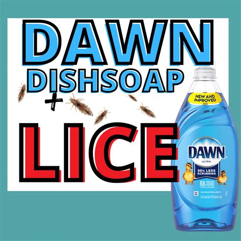 dawn dish soap to kill lice tutorial my lice advice