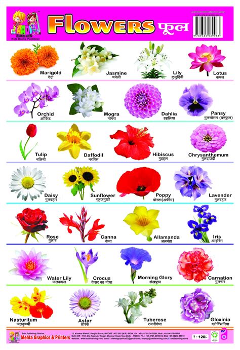 List Of Flowers Name In Hindi And English Pdf