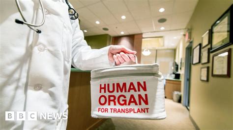 Organ Transplant Success Up By 9 In A Year Bbc News