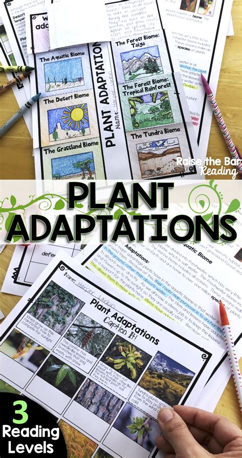 Engage Your Students With Fascinating Plant Adaptations For The Major