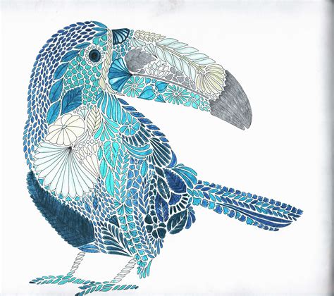 Bird tropical art print,watercolor tropical wall art, tropical toucan bird art. Millie Marotta Tropical World Tucan | Millie marotta ...