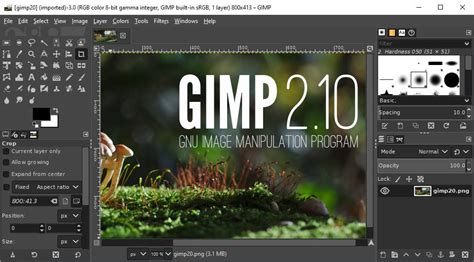 The Gimp Image Manipulation Coolafil