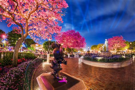 Disneyland Spring 2016 Construction Update Disney Tourist Blog